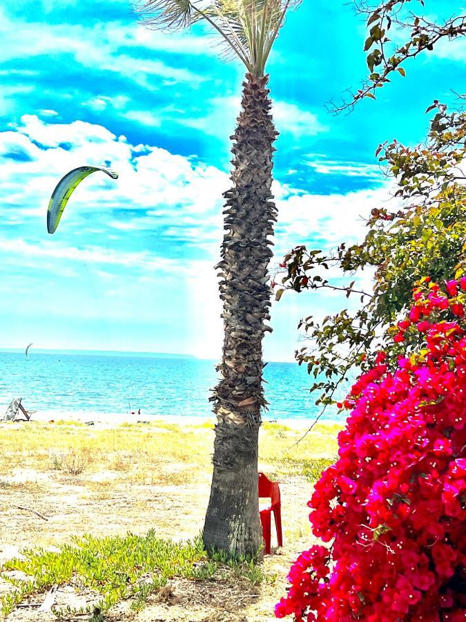 Windsurf Beach Front Torre Grande Bagian luar foto