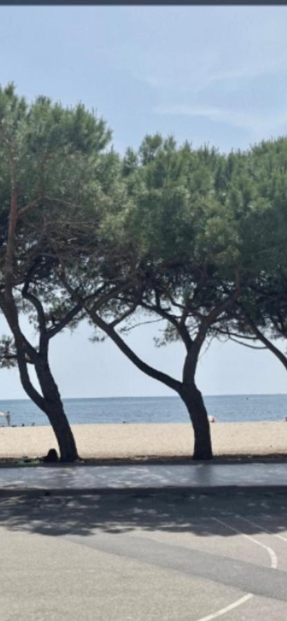 Windsurf Beach Front Torre Grande Bagian luar foto